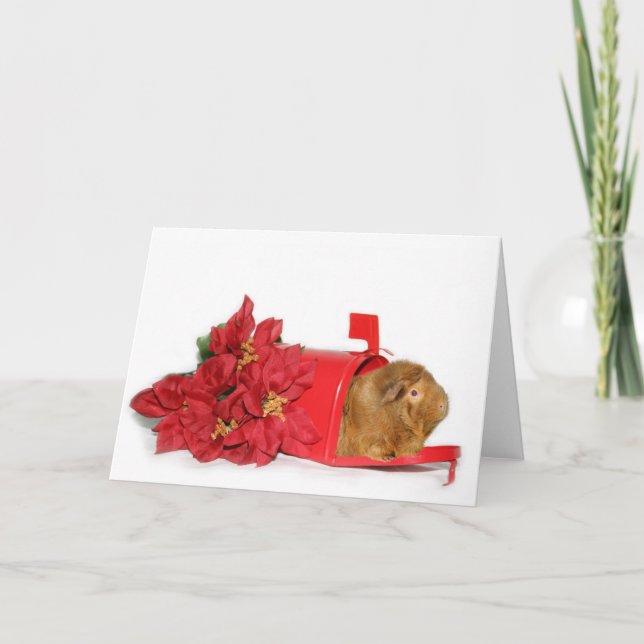 Guinea Pig Christmas mail Holiday Card (Front)