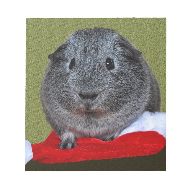 Guinea Pig Christmas Notepad (Front)