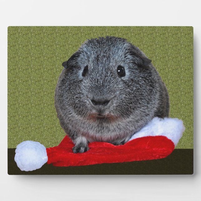Guinea Pig Christmas Plaque (Front)
