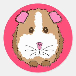 Guinea Pig Classic Round Sticker