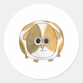 Guinea Pig. Classic Round Sticker
