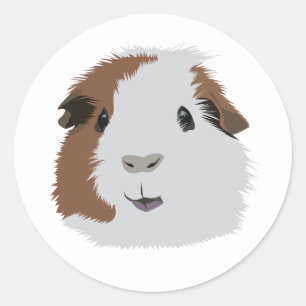 Guinea Pig Classic Round Sticker