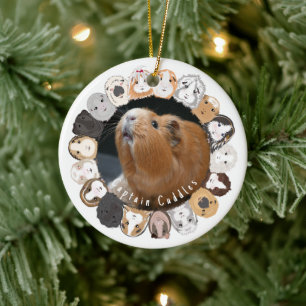 Guinea Pig Customisable  Ceramic Tree Decoration