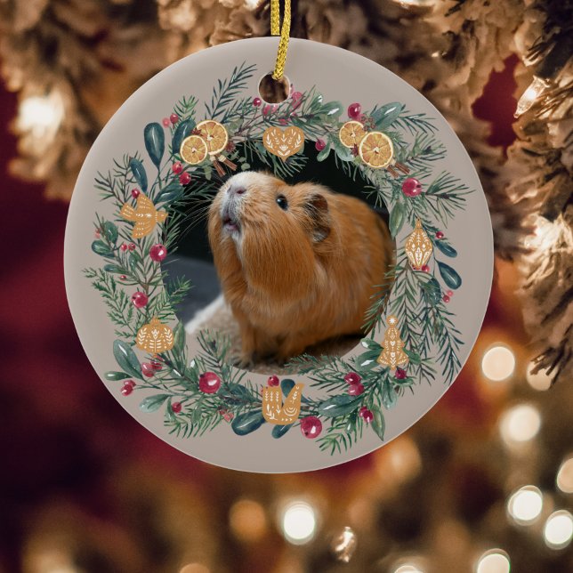 Guinea Pig Customisable  Ornament (Creator Uploaded)