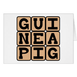 Guinea Pig, Cute Pet or Test Subject