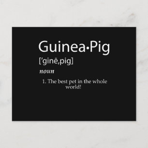 Guinea Pig Definition - Best Pet For Kids Postcard
