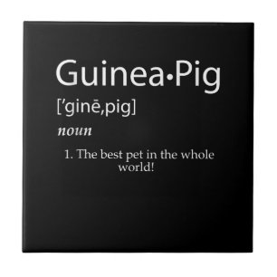 Guinea Pig Definition - Best Pet For Kids Tile