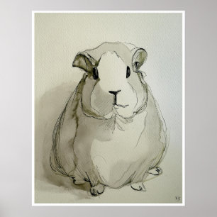 Guinea Pig Drawing - Art Print