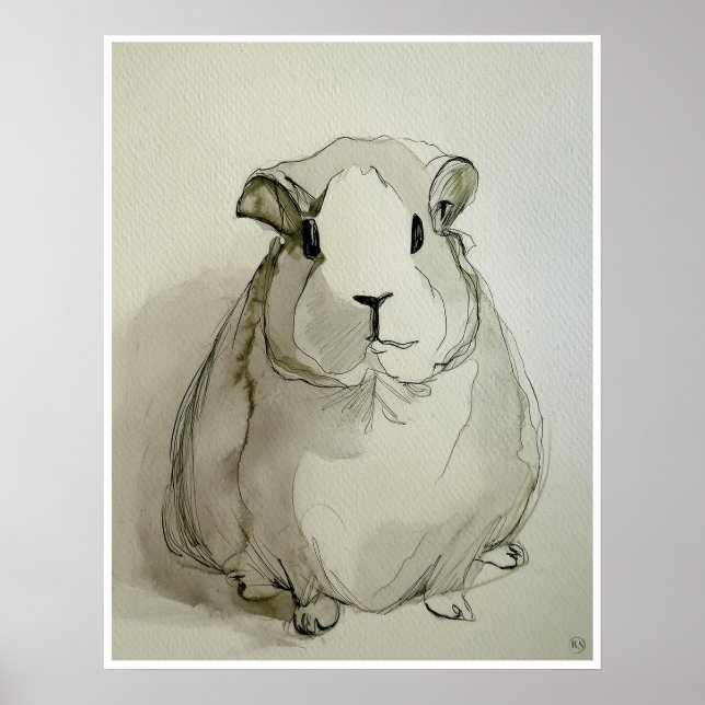 Guinea Pig Drawing - Art Print (Front)