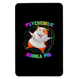 Guinea Pig EDM Party Pet Colourful Guinea Pig Magnet