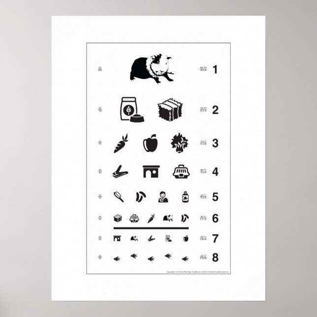 Guinea Pig Eye Chart (Front)