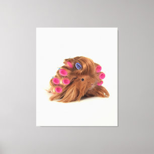 Guinea Pig   Funny Curly Guinea Pig Lover Gifts Canvas Print