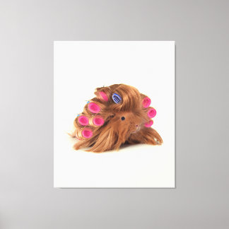 Guinea Pig | Funny Curly Guinea Pig Lover Gifts Canvas Print