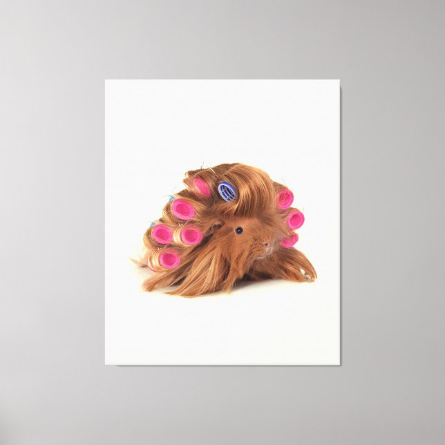Guinea Pig | Funny Curly Guinea Pig Lover Gifts Canvas Print (Front)