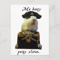 Guinea Pig Funny Pirate