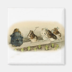 “Guinea Pig Garden” by Beatrix Potter Magnet