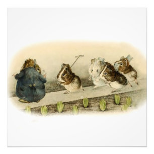 “Guinea Pig Garden” by Beatrix Potter Photo Print