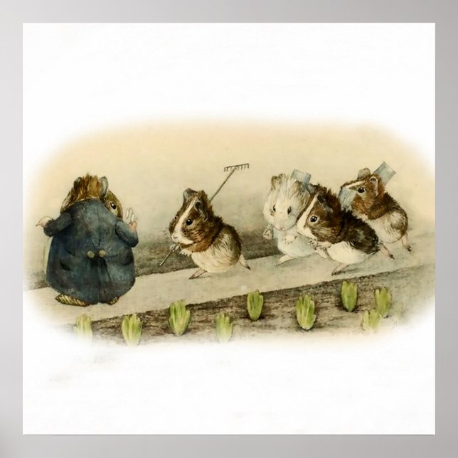 “Guinea Pig Garden” by Beatrix Potter Poster (Front)