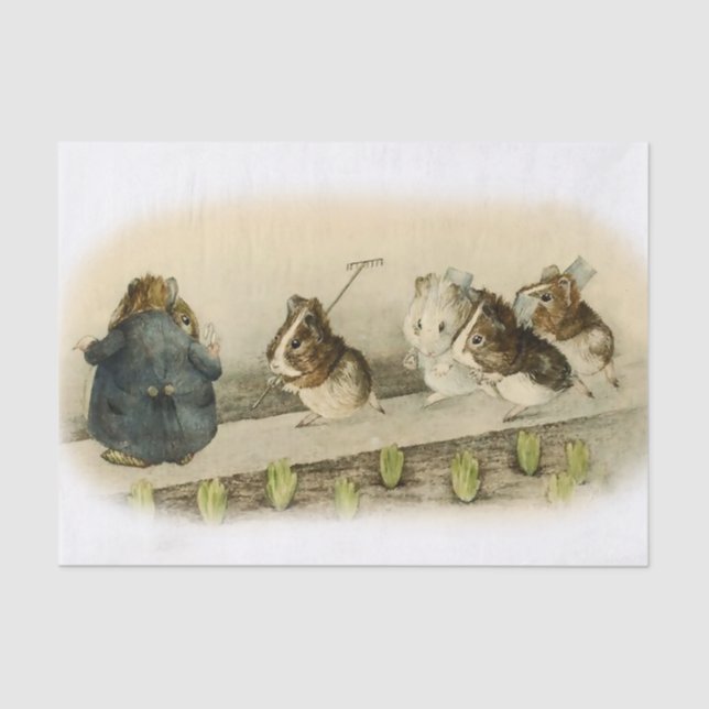 “Guinea Pig Garden” by Beatrix Potter Tissue Paper (Front)