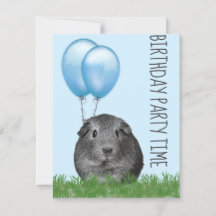 Guinea Pig Girly Blue Balloon Custom Birthday