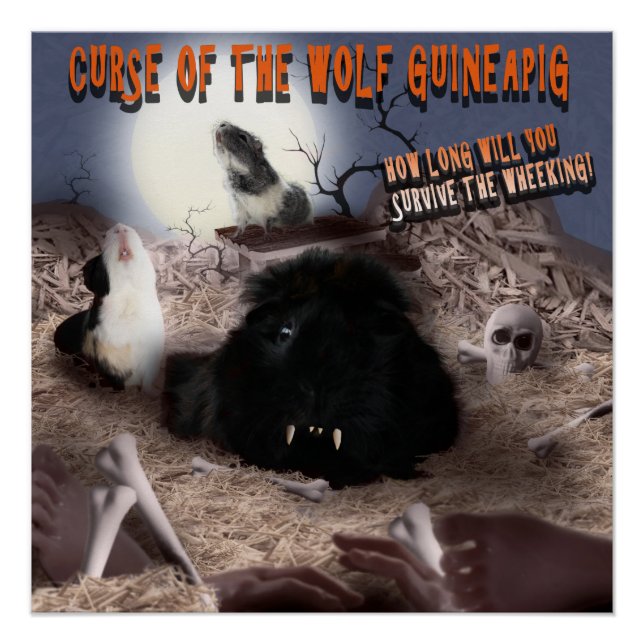 Guinea Pig Halloween Poster (Front)