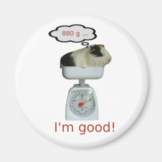 Guinea Pig Health Magnet