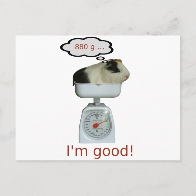 Guinea Pig Health Postcard (Front)