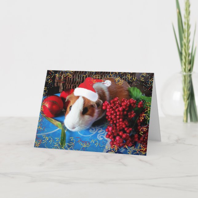 Guinea Pig Holiday Card (Front)