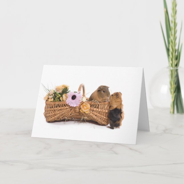 guinea pig in a basket card (Front)