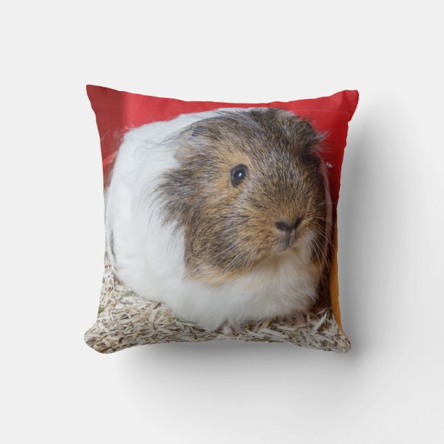 Guinea pig in a cage cushion (Front)