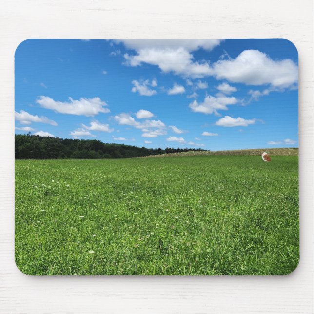 Guinea Pig in a Field Mousepad (Front)