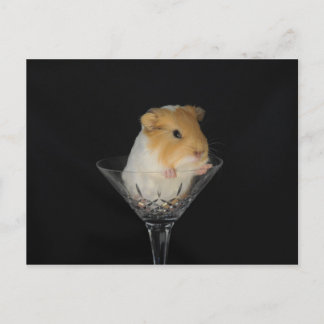Guinea pig in a wine glass postcard