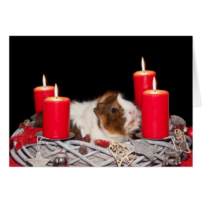 Guinea Pig in Wreath Christmas Card (Front Horizontal)