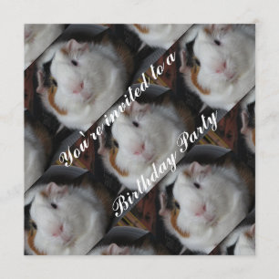 Guinea pig invite