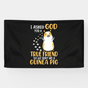Guinea Pig Is True Friend Banner