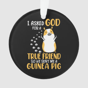 Guinea Pig Is True Friend Ornament