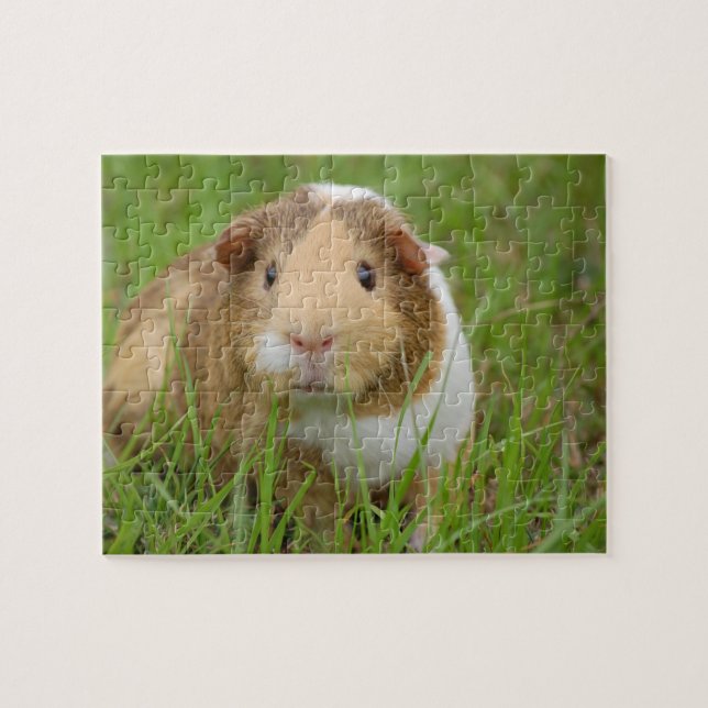 Guinea Pig Jigsaw Puzzle (Horizontal)