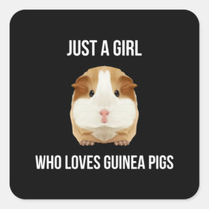 Guinea Pig Just A Girl Loves Wheek Square Sticker