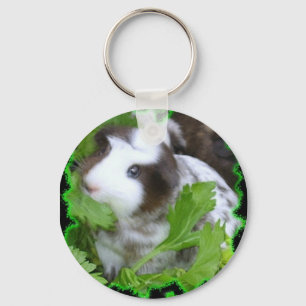 Guinea pig key chain