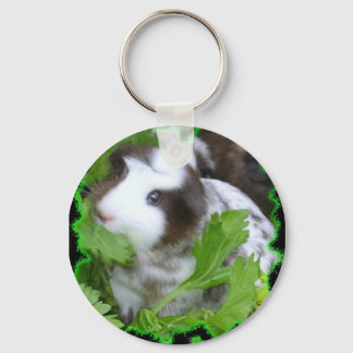 Guinea pig key chain