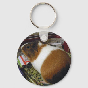 Guinea Pig Key Ring