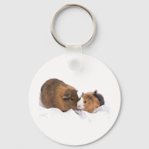 guinea pig key ring