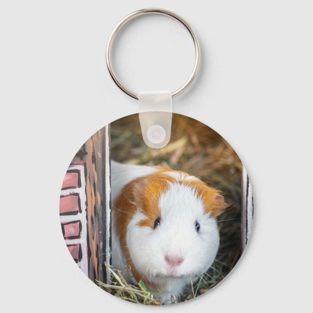 Guinea pig key ring (Front)