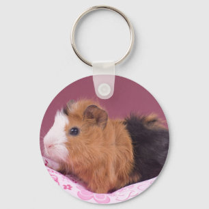 guinea pig key ring