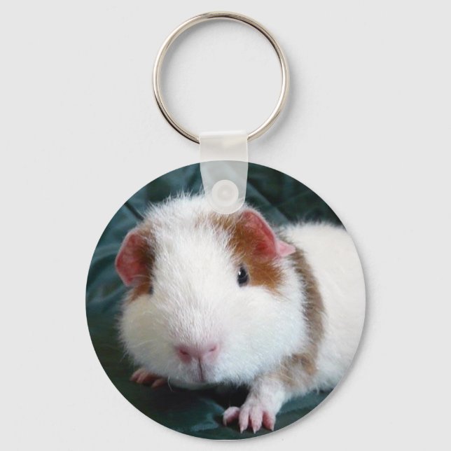 Guinea Pig Key Ring (Front)