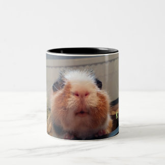 Guinea pig kiss mug