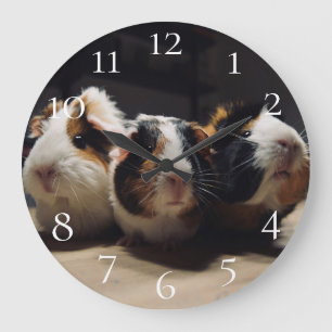 Guinea pig large clock