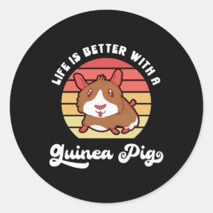 Guinea pig Life is better retro vintage Classic Round Sticker