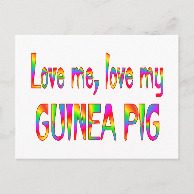 Guinea Pig Love Postcard (Front)
