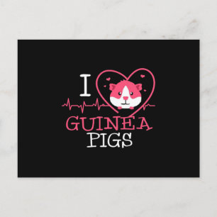 Guinea Pig Love Rodent   Heartbeat Guinea Pig Postcard